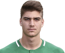 Σπίνος Βασίλειος