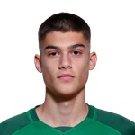 Σερπέζης Δημήτριος